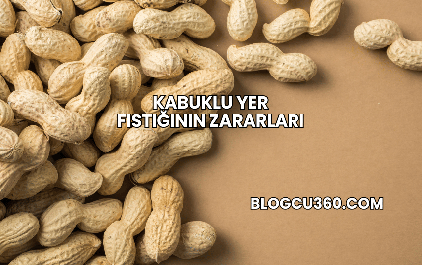 Kabuklu Yer Fıstığının Zararları