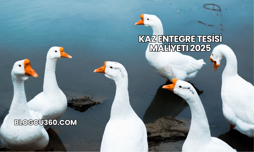 Kaz Entegre Tesisi Maliyeti 2025