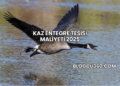 Kaz Entegre Tesisi Maliyeti 2025