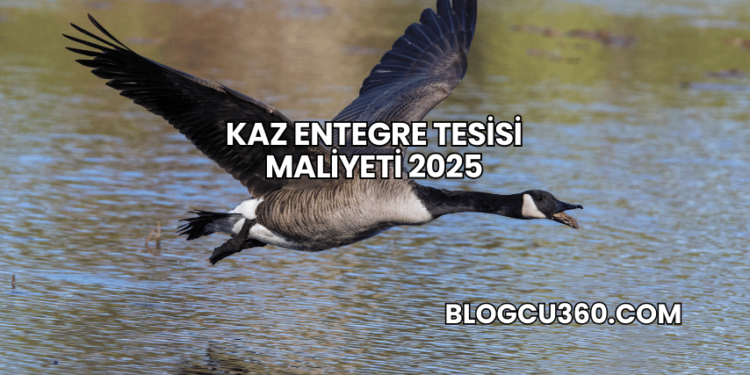 Kaz Entegre Tesisi Maliyeti 2025