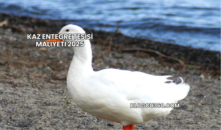 Kaz Entegre Tesisi Maliyeti 2025