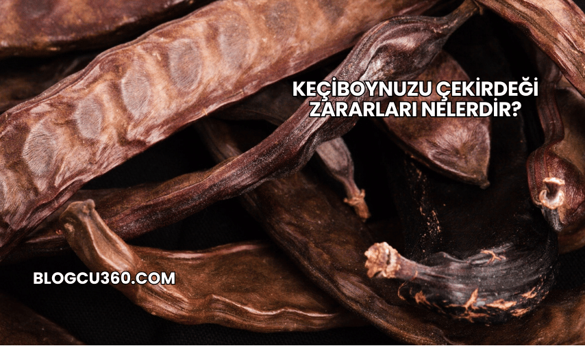 Keçiboynuzu Çekirdeği Zararları Nelerdir?