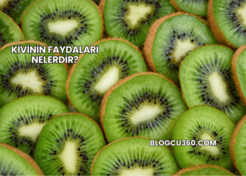 Kivinin Faydaları Nelerdir?