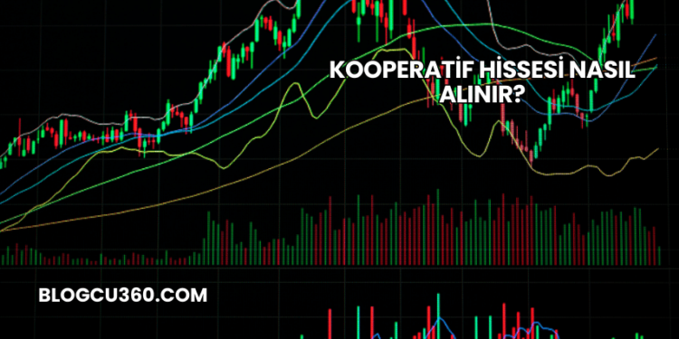 Kooperatif Hissesi Nasıl Alınır?