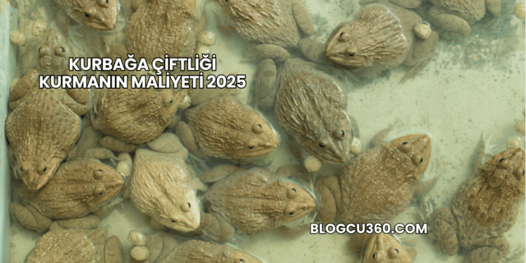 Kurbağa Çiftliği Kurmanın Maliyeti 2025