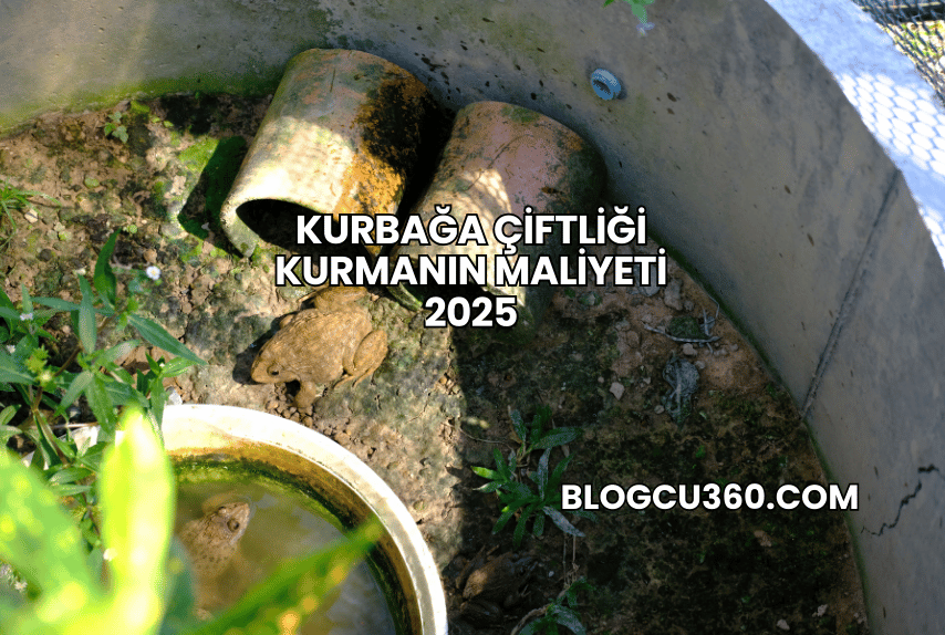 Kurbağa Çiftliği Kurmanın Maliyeti 2025