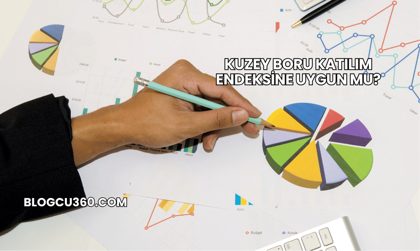 Kuzey Boru Katılım Endeksine Uygun mu?