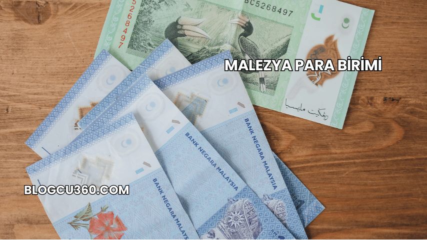 Malezya Para Birimi