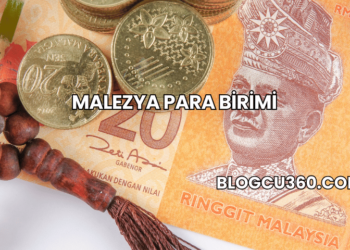 Malezya Para Birimi