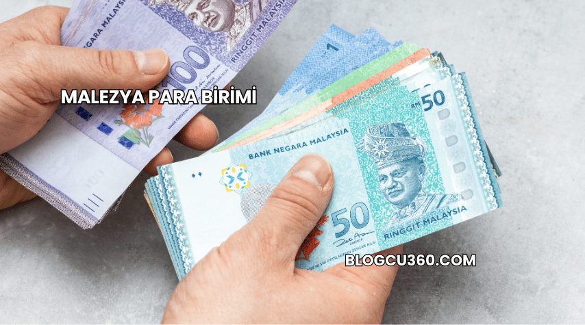 Malezya Para Birimi