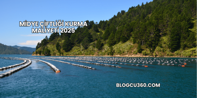 Midye Çiftliği Kurma Maliyeti 2025