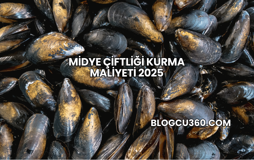 Midye Çiftliği Kurma Maliyeti 2025