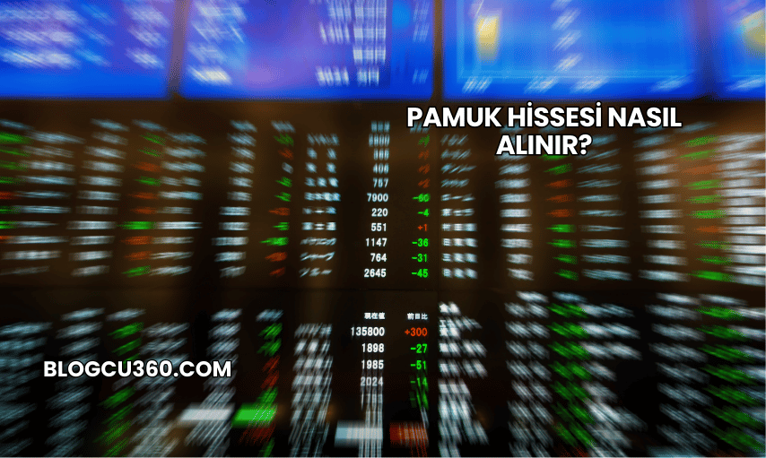 Pamuk Hissesi Nasıl Alınır?