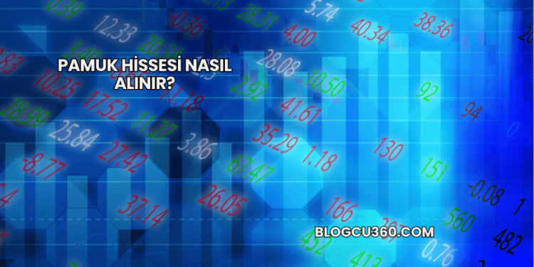 Pamuk Hissesi Nasıl Alınır?