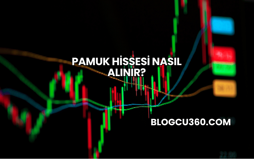 Pamuk Hissesi Nasıl Alınır?