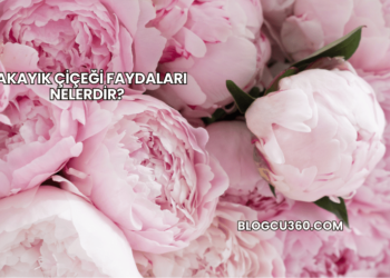 Şakayık Çiçeği Faydaları Nelerdir?