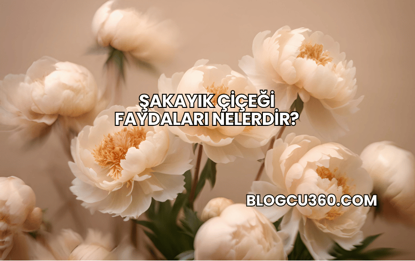 Şakayık Çiçeği Faydaları Nelerdir?