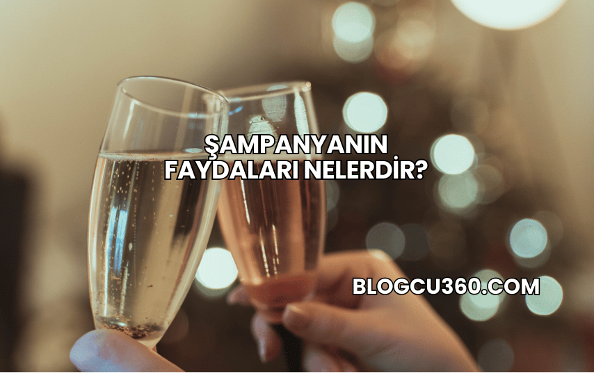 Şampanyanın Faydaları Nelerdir?