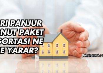 Sarı Panjur Konut Paket Sigortası Ne İşe Yarar?