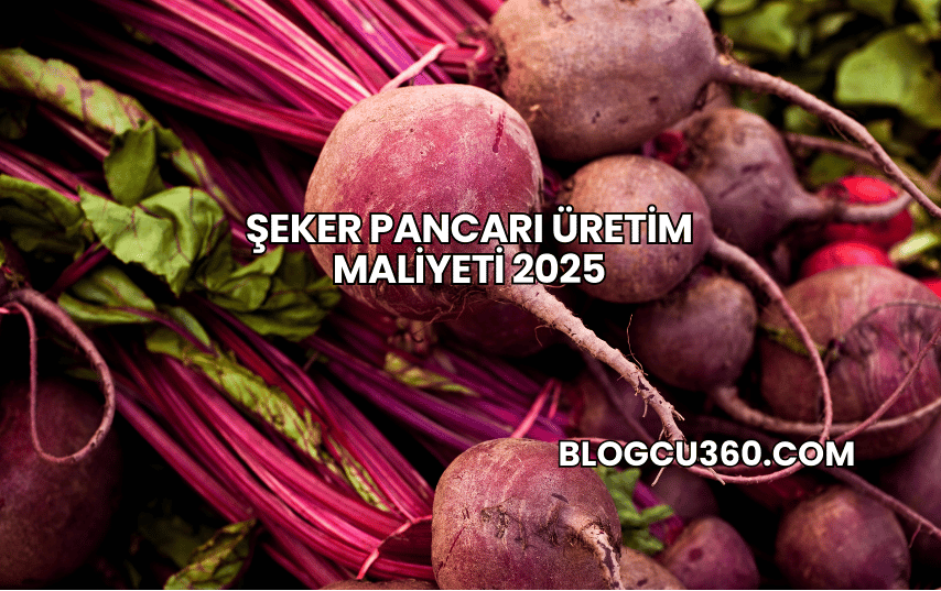Şeker Pancarı Üretim Maliyeti 2025