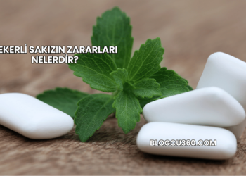 Şekerli Sakızın Zararları Nelerdir?