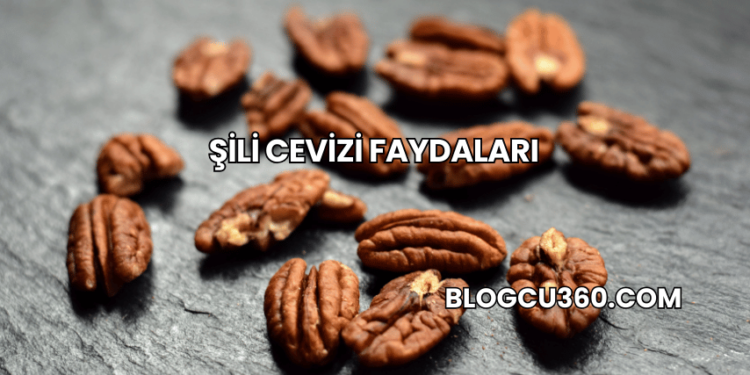 Şili Cevizi Faydaları