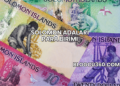 Solomon Adaları Para Birimi