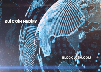 Sui Coin Nedir?