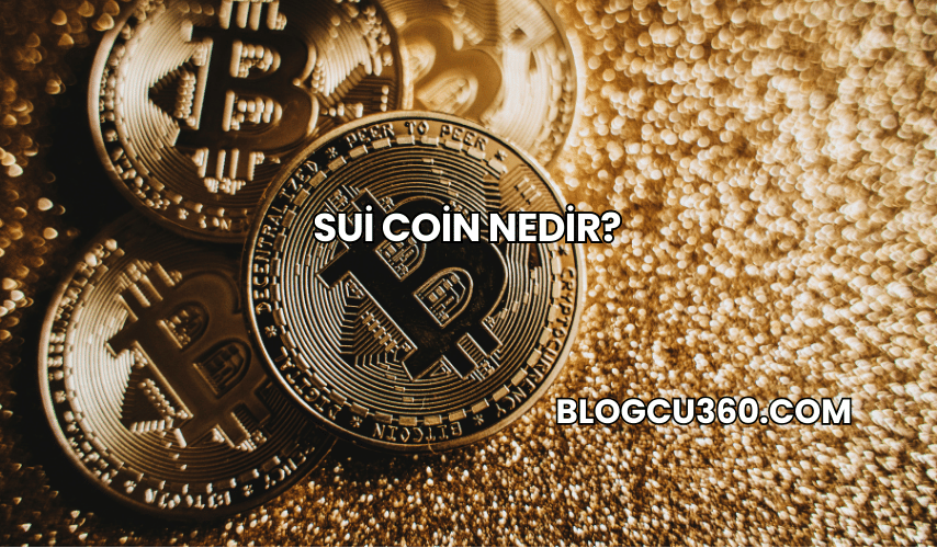 Sui Coin Nedir?