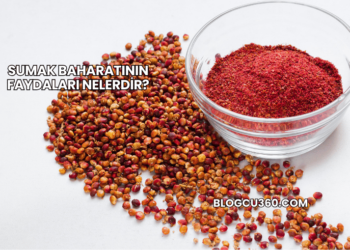 Sumak Baharatının Faydaları Nelerdir?
