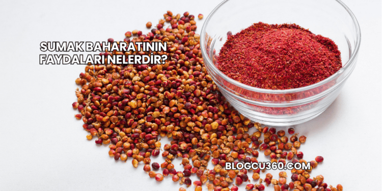 Sumak Baharatının Faydaları Nelerdir?