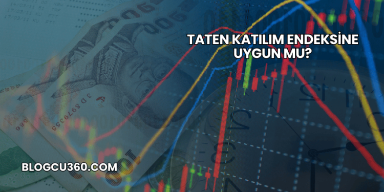 Taten Katılım Endeksine Uygun mu?