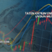 Taten Katılım Endeksine Uygun mu?