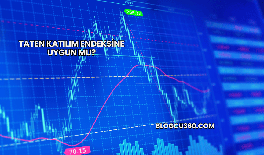 Taten Katılım Endeksine Uygun mu?