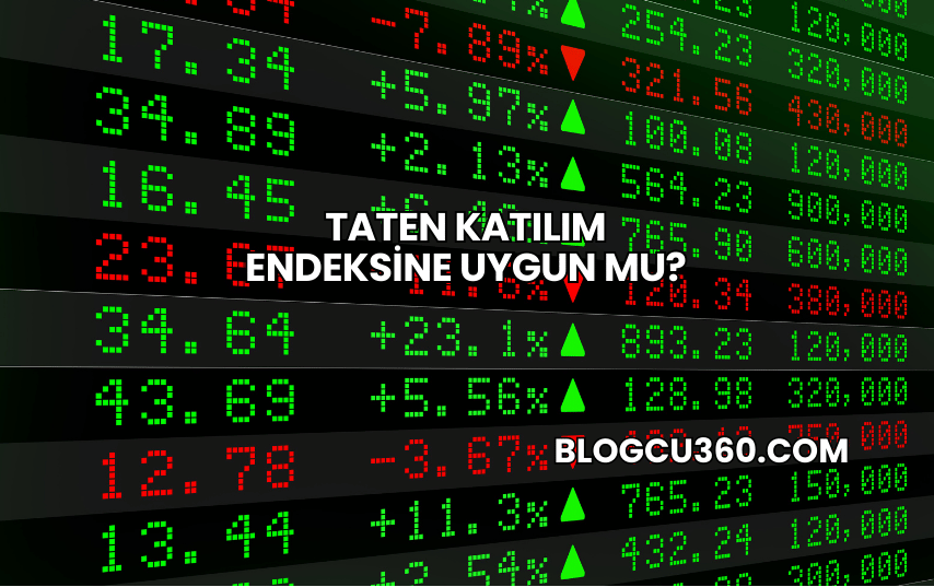 Taten Katılım Endeksine Uygun mu?