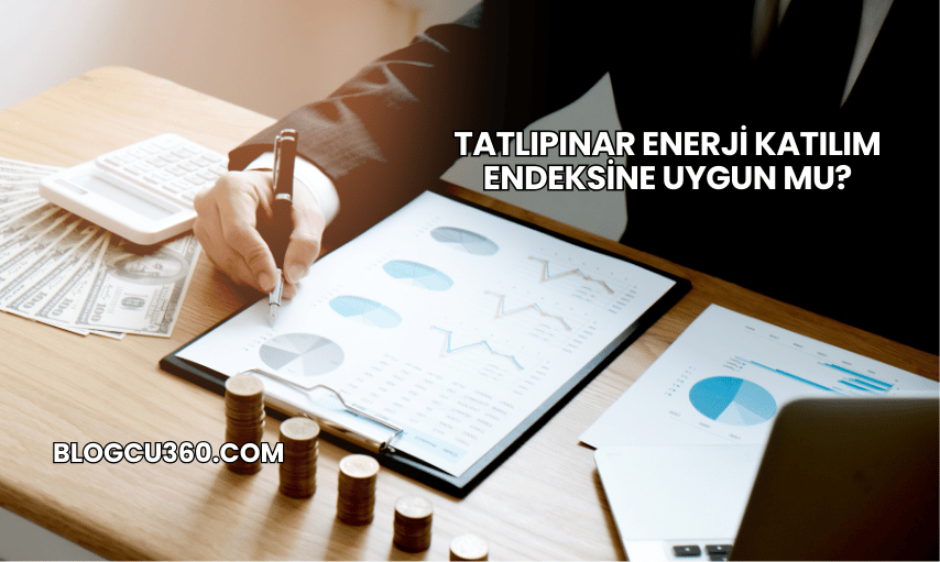 Tatlıpınar Enerji Katılım Endeksine Uygun mu?