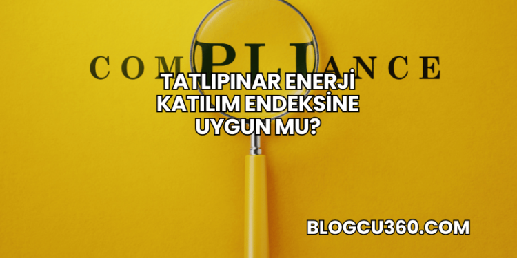 Tatlıpınar Enerji Katılım Endeksine Uygun mu?