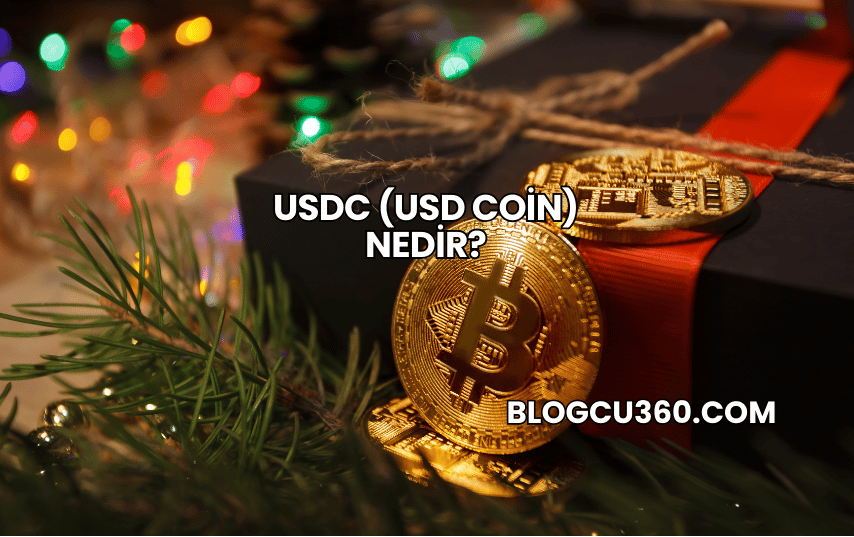 USDC (USD Coin) Nedir?