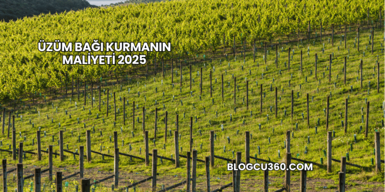 Üzüm Bağı Kurmanın Maliyeti 2025