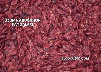 Üzüm Kabuğunun Faydaları