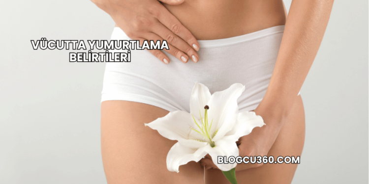 Vücutta Yumurtlama Belirtileri
