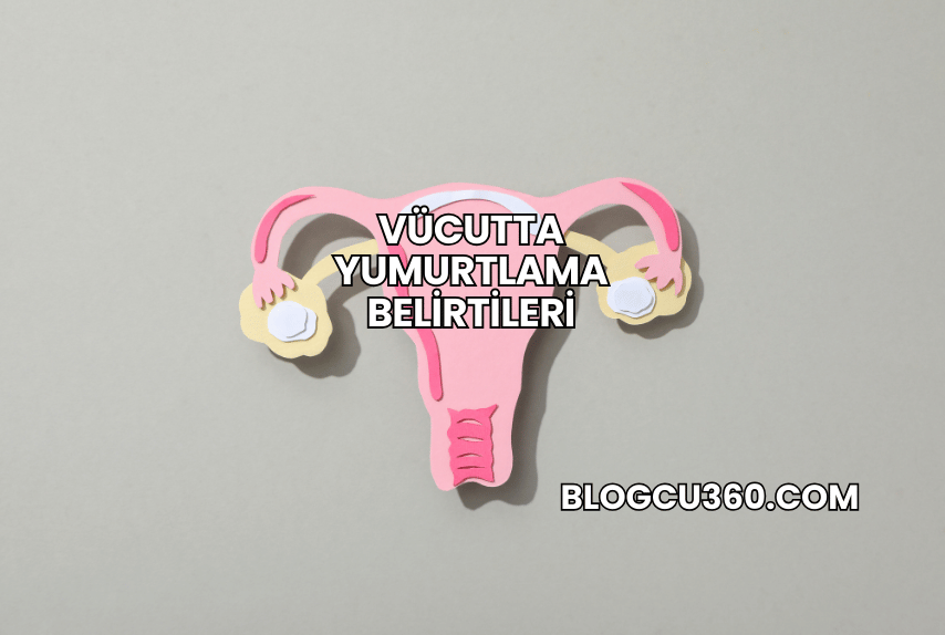 Vücutta Yumurtlama Belirtileri