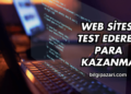 Web Sitesi Test Ederek Para Kazanma