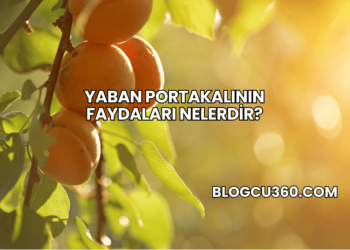 Yaban Portakalının Faydaları Nelerdir?