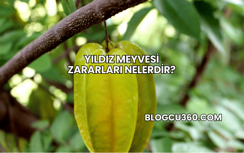 Yıldız Meyvesi Zararları Nelerdir?