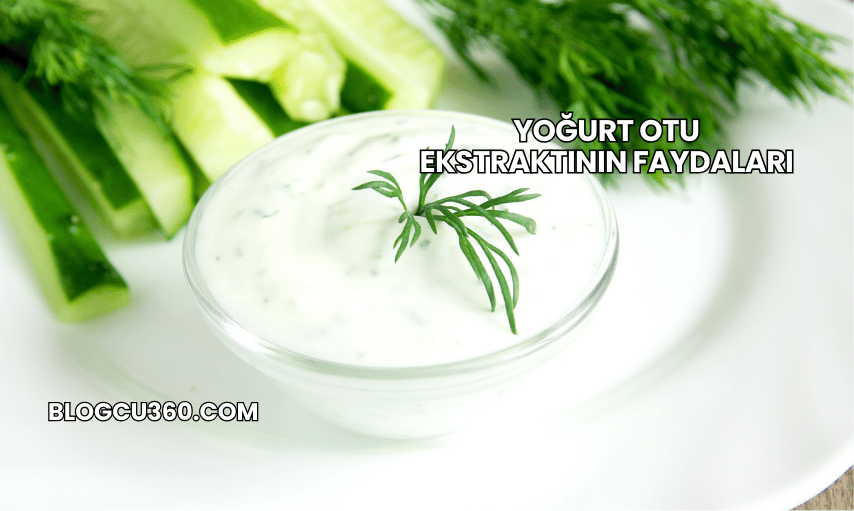 Yoğurt Otu Ekstraktının Faydaları