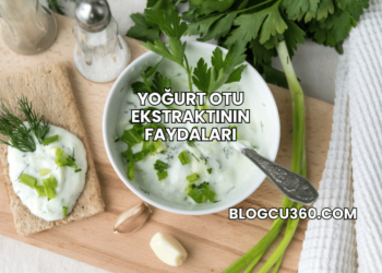 Yoğurt Otu Ekstraktının Faydaları