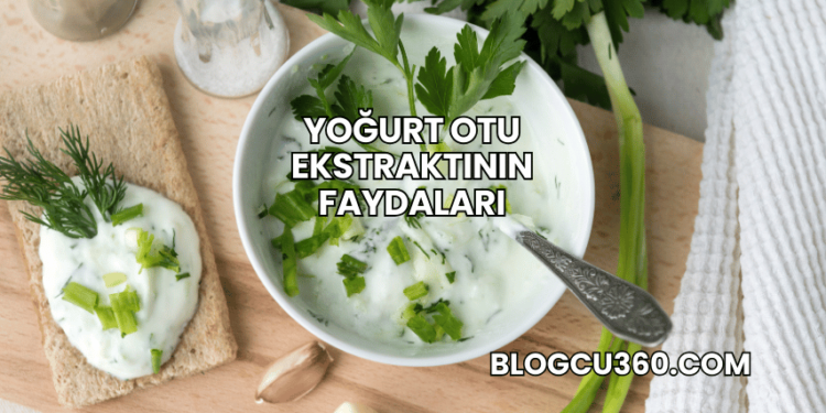 Yoğurt Otu Ekstraktının Faydaları