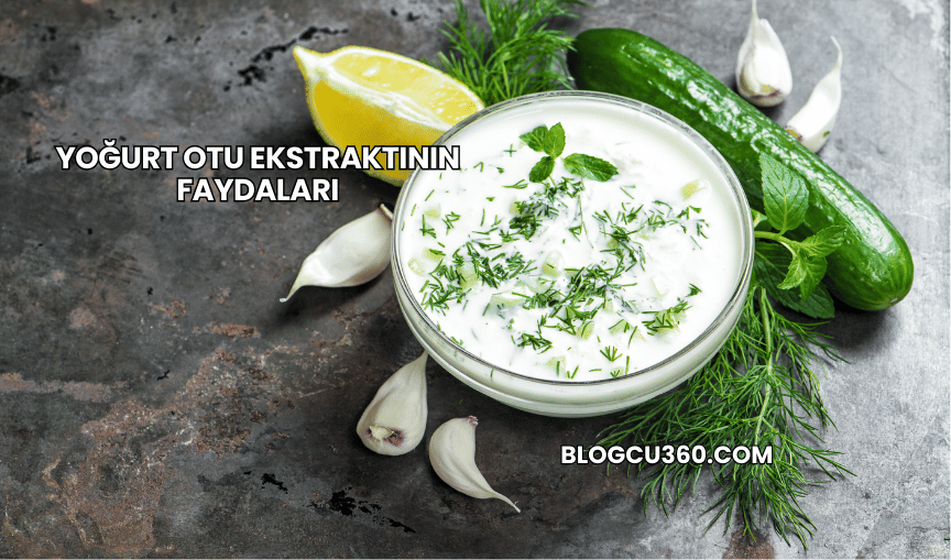 Yoğurt Otu Ekstraktının Faydaları