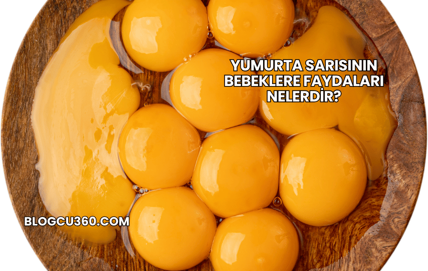 Yumurta Sarısının Bebeklere Faydaları Nelerdir?